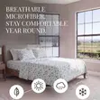 4 Pieces Patterned Sheet Set - King & Queen Sizes - 3