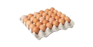 Crate of Eggs