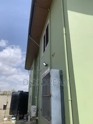Affordable Painting & Design Services