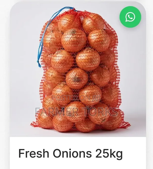 Fresh Onions - 25kg Bag - 1
