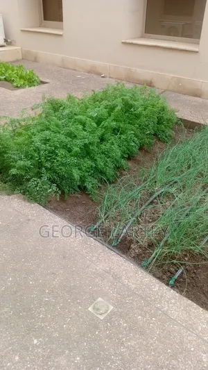 Home Garden Services
