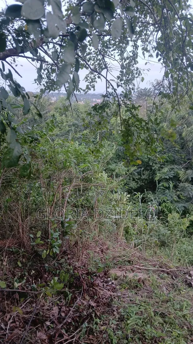 Residential Land for Sale - Ho Skyplus Area - 1