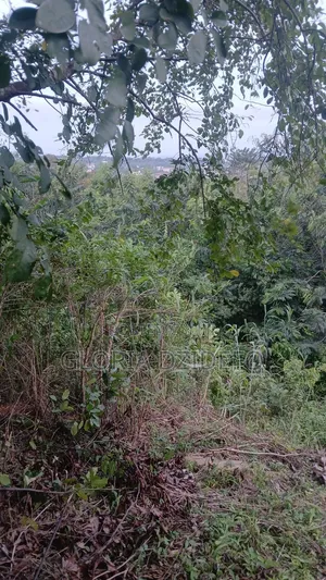Residential Land for Sale - Ho Skyplus Area