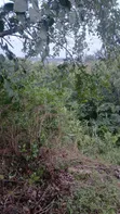 Residential Land for Sale - Ho Skyplus Area - 1