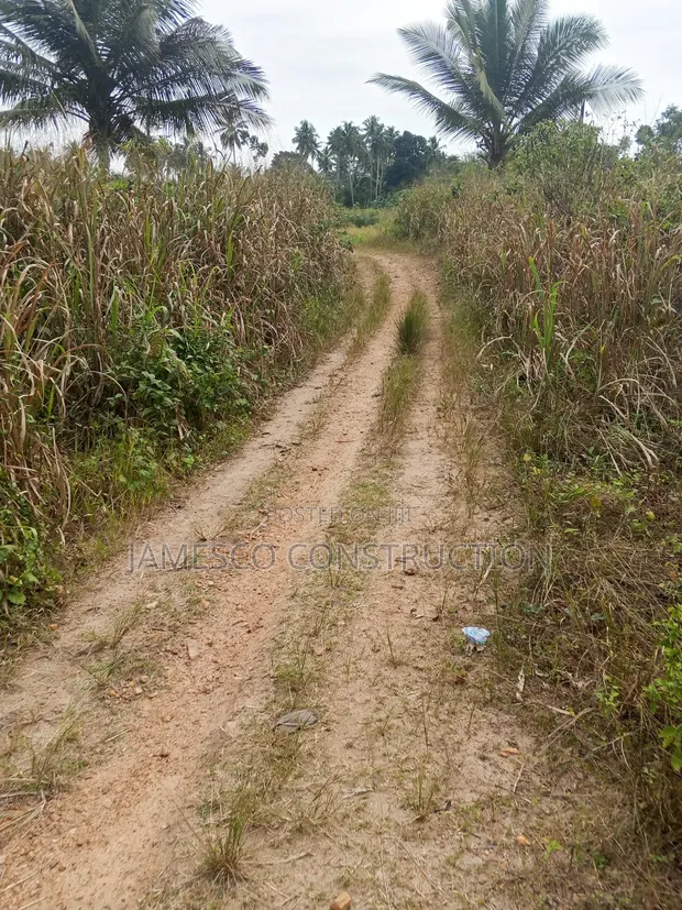 Fertile Farmland for Sale in Agona West Municipal - 1