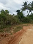 Fertile Farmland for Sale in Agona West Municipal - 2
