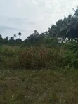 Farmland for Sale - Agona West Municipal - 4
