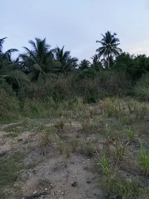 Farmland for Sale - Agona West Municipal