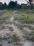 Farmland for Sale - Agona West Municipal - 3