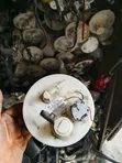 Kia Morning/Picanto Fuel Pump (Used) - 3
