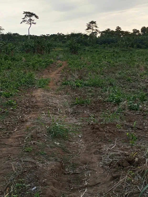 Farmland for Sale - Agona West Municipal - 1