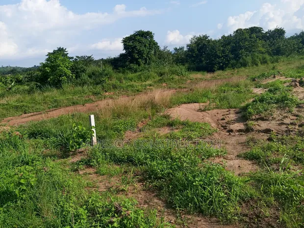 Residential Land for Sale in Agona West Municipal - 1