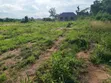 Residential Land for Sale in Agona West Municipal - 2