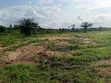 Residential Land for Sale in Agona West Municipal - 4