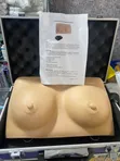 Breast Examination Model - 2