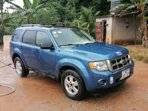 Ford Escape SE 4x4 2017 Blue