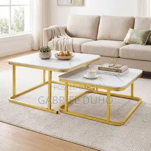 2-in-1 Modern Nesting Center Table Set