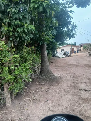 Hohoe Township Land for Sale