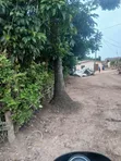 Hohoe Township Land for Sale - 1