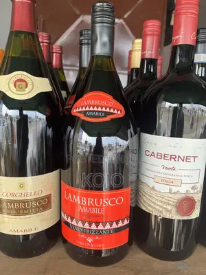 Lambrusco Italian Sparkling Red Wine