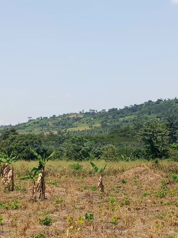 Fertile Farmland for Sale in Krachi Bontibor - 1
