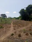 Fertile Farmland for Sale in Krachi Bontibor - 4
