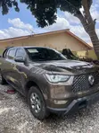 Great Wall Poer 2020 Brown - 2