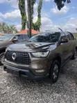 Great Wall Poer 2020 Brown - 5