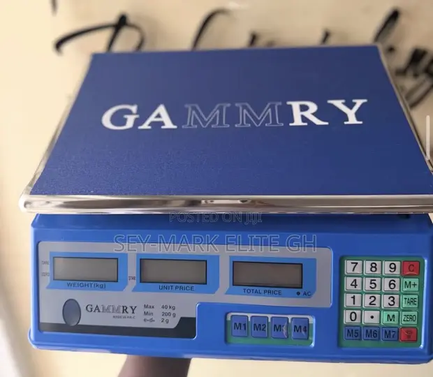 GAMMRY Electronic Pricing Scale - 1