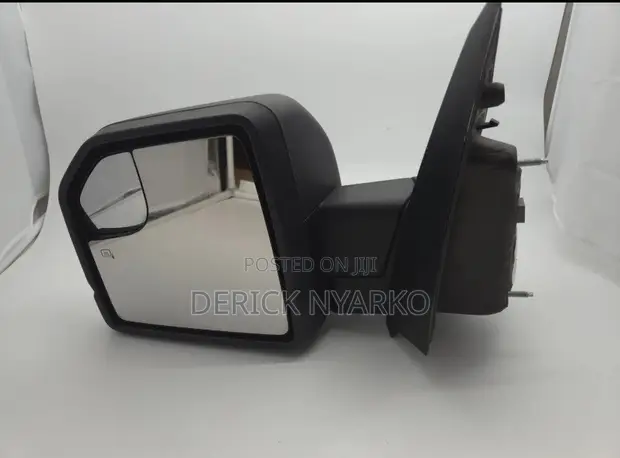 Ford F-150 2017-2021 Side Mirror - 1