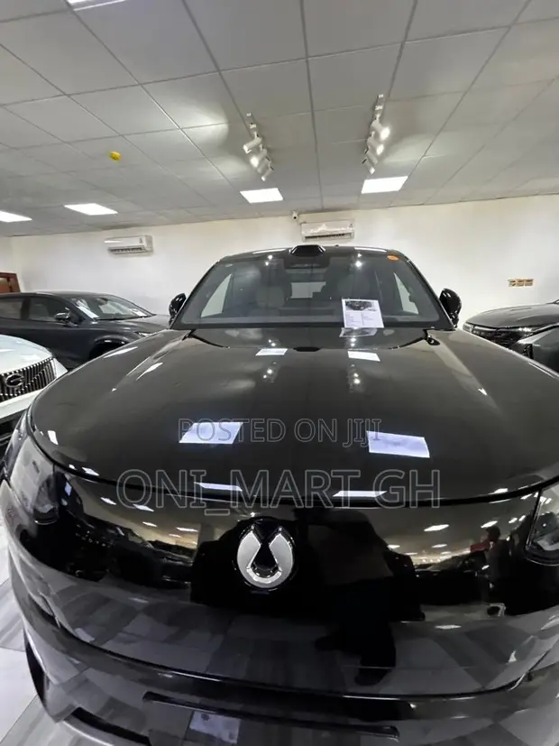 New Denza N9 2.0 Hybrid AWD 2025 Black - 1