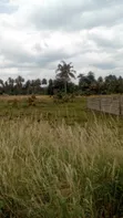 Plots of Land at Nsawam Anoff - 3