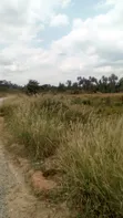 Plots of Land at Nsawam Anoff - 4