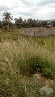 Plots of Land at Nsawam Anoff - 5