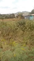 Plots of Land for Sale at Nsawam Adoagyiri - 2