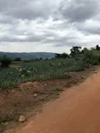 Registered Plot Land for Sale at Oburi - 1