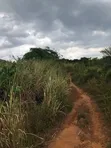 Registered Plot Land for Sale at Oburi - 4