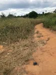 Registered Plot Land for Sale at Oburi - 5