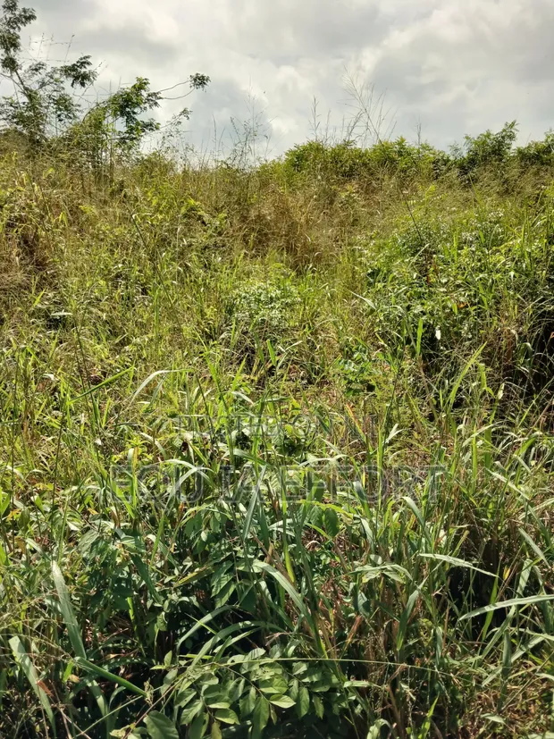 Residential and Farming Land for Sale in Ho - 1