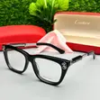 Cartier Sunglasses - Brand New - 2