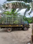 Kia Frontier 2008 - 5