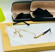 Mont Blanc Glasses - 1