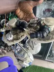 Toyota Yaris 2008 Fuel Pump - 5