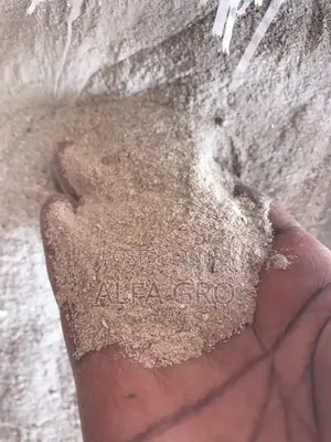 Oyster Shells (20kg)
