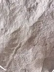 Oyster Shells (20kg) - 2