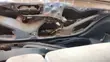 Toyota Vitz 1.0 FWD 3dr 2010 Silver - 1