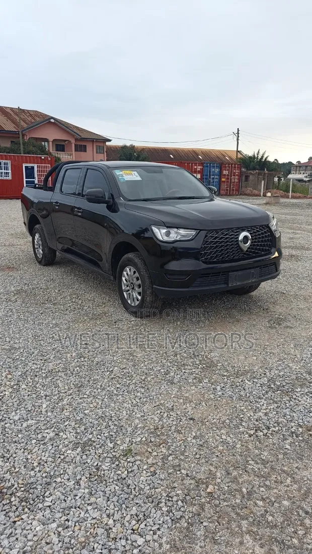 Great Wall Poer 2020 Black - 1