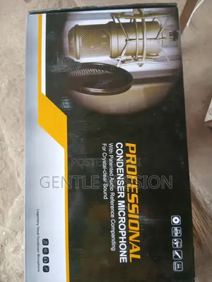 Professional Audio Condenser Microphone