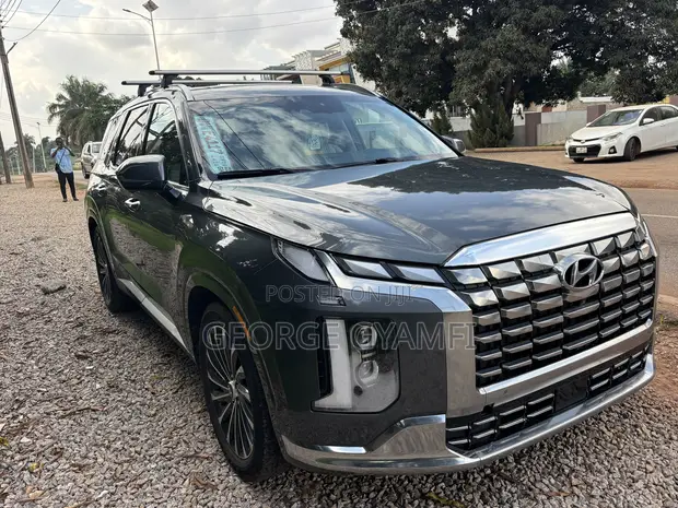 2023 Hyundai Palisade Calligraphy Gray - 1