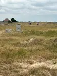 Half Plot for Sale at Tsopoli Skyport City - 2
